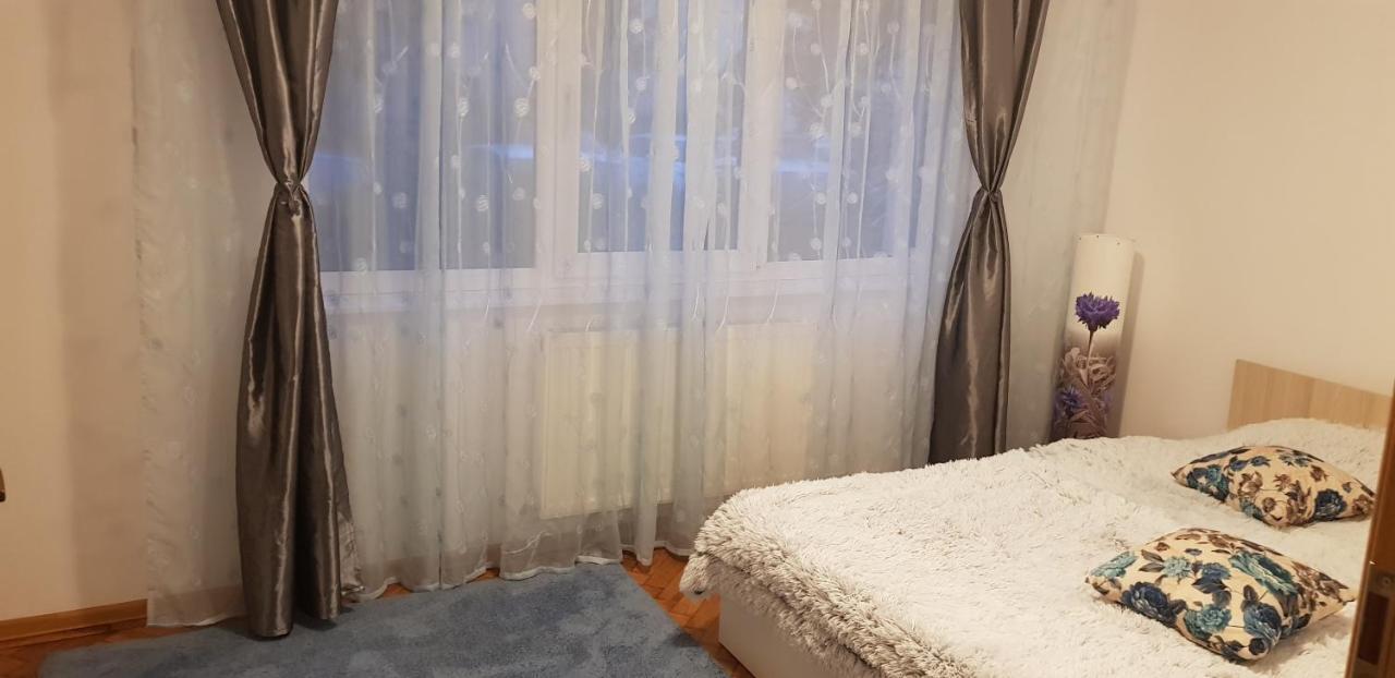 Petuniei Apartment Brașov Exterior foto