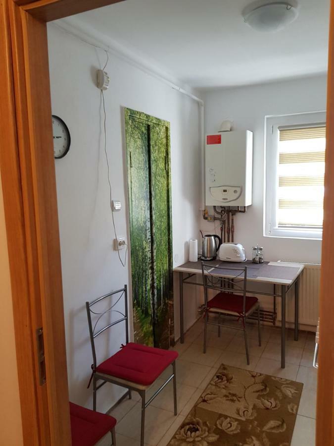 Petuniei Apartment Brașov Exterior foto