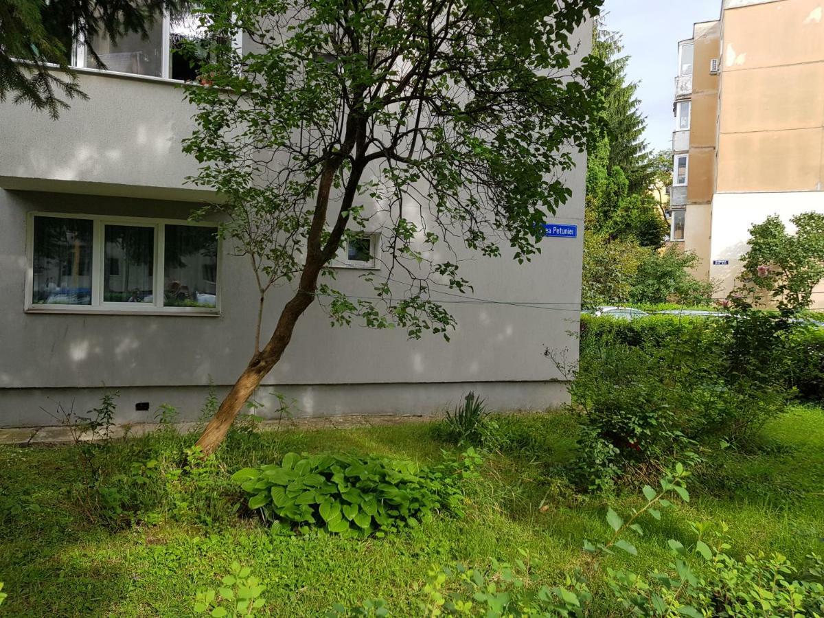 Petuniei Apartment Brașov Exterior foto